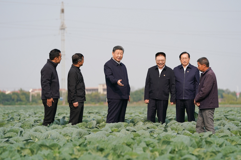 11月4日至6日，中共中央总书记、国家主席、中央军委主席习近平在湖北考察。这是5日上午，习近平在咸宁市嘉鱼县潘家湾镇十里蔬菜长廊考察时，走进田间，察看蔬菜长势。